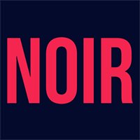 .NET Developer | Noir Noir